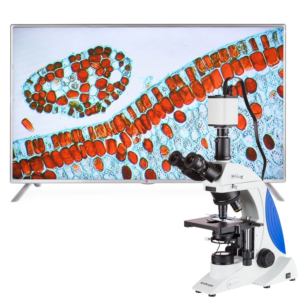 AmScope 1080p Full HD HDMI Microscope Camera System