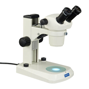 Binocular Stereo Microscope 10X-30X with Dual LED Lights