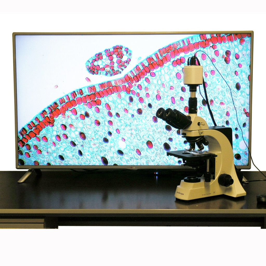 AmScope 1080p/60fps HDMI C-Mount Digital Microscope Camera System – Omax