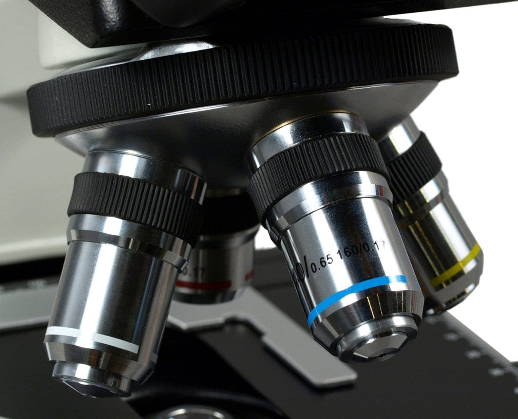 40X to 1600X M829 Series Biological Microscope with Siedentopf Head – Omax