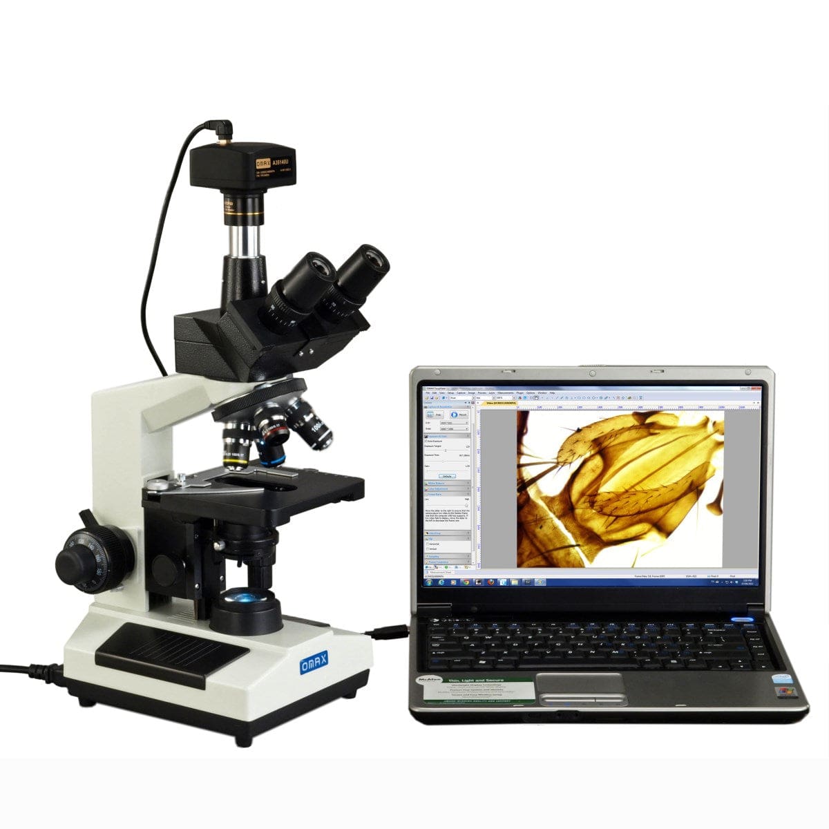 opticam microscope camera