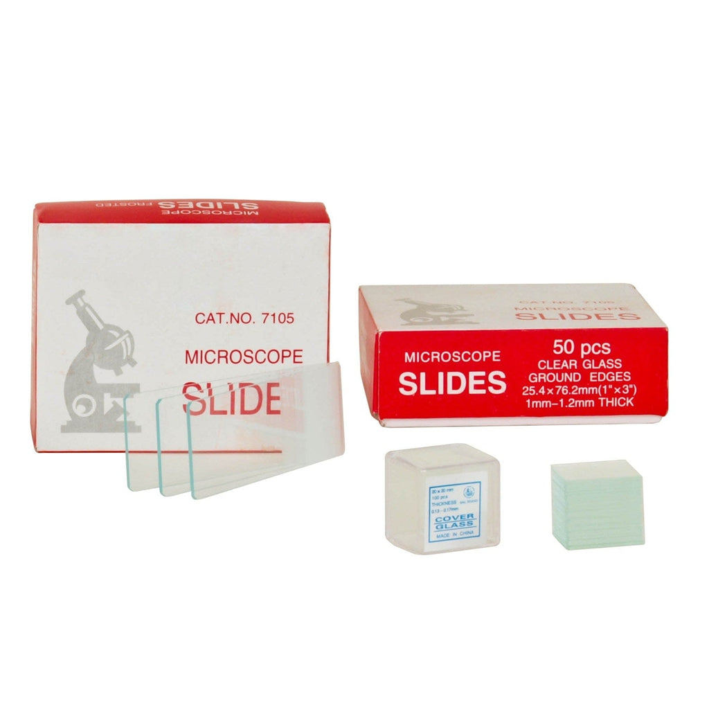 Microscope Slides With Specimens 100-Pack Frosted Glass Microscope ...