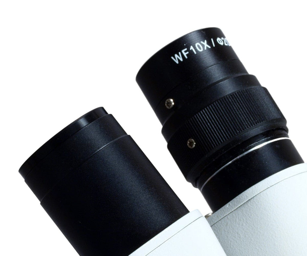 23.2mm to 30.5mm Microscope Conversion Adapter – Omax