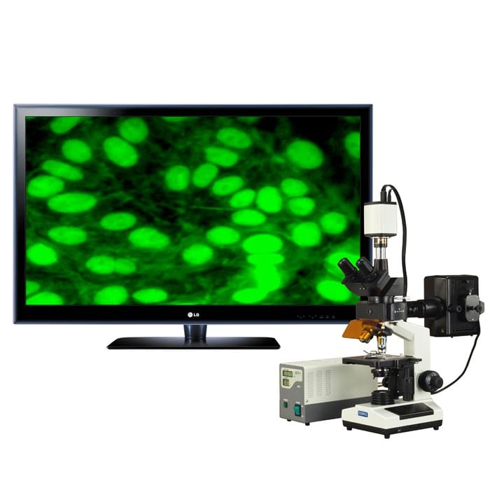 40X-1600X Biological Compound Laboratory Microscope, Trinocular, LED Light  + USB Digital Camera